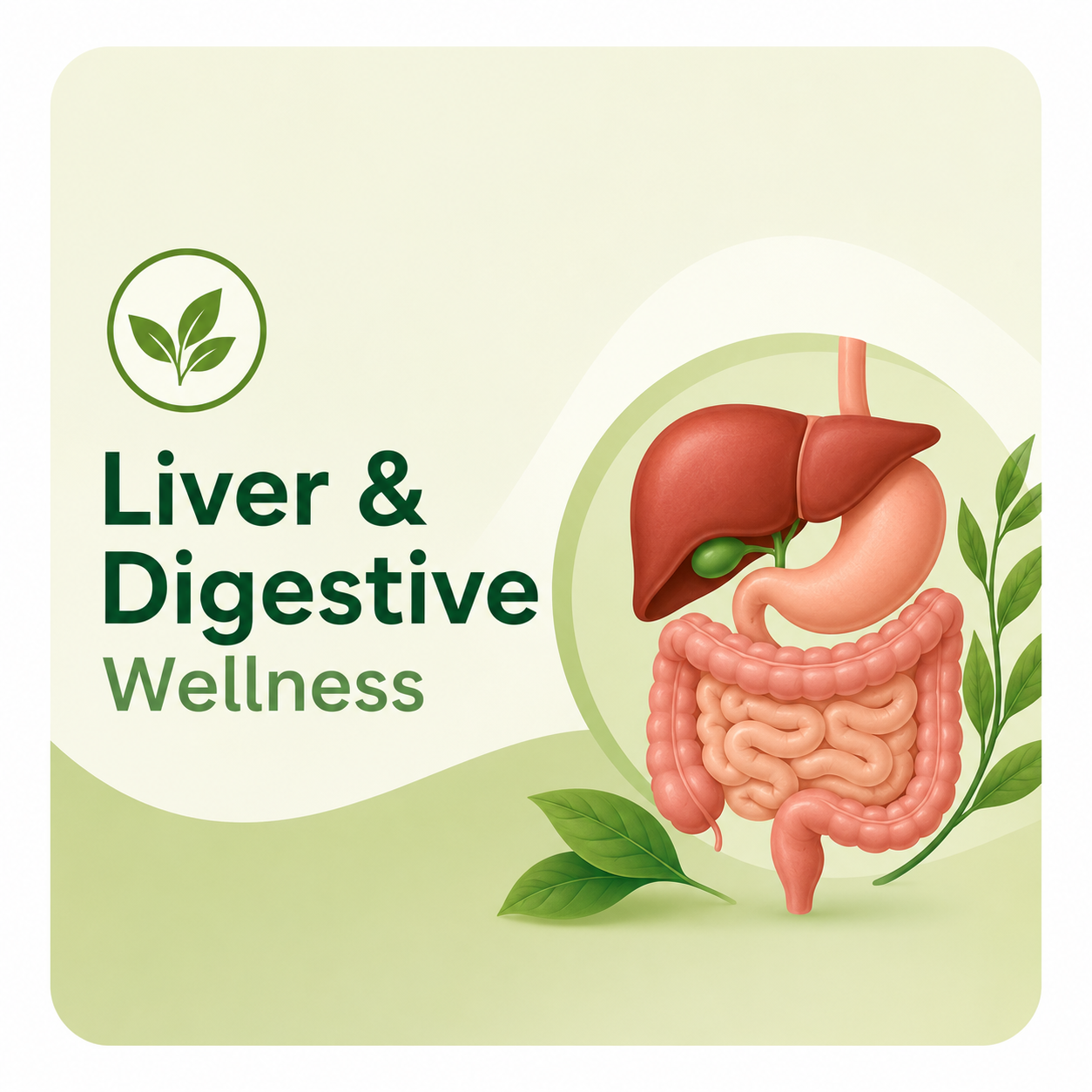 Liver & Digestive Wellness